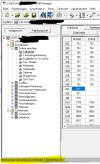 TK-Anlage-nummer mehrfach vorhanden Manager-E.PNG