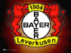 bayer.png