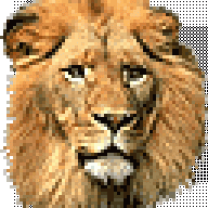 XLION